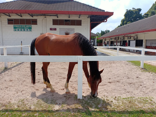 UPM Equestrian Centre