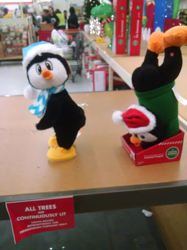 Discount Store «Big Lots», reviews and photos, 2349 Cherry Rd #79, Rock Hill, SC 29732, USA