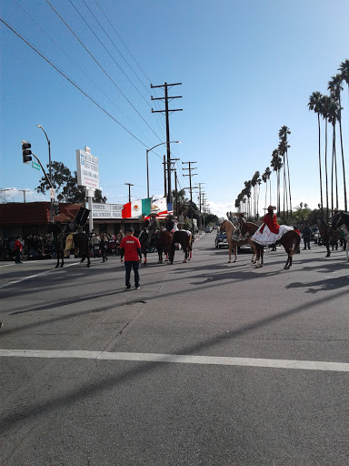 Pet Supply Store «Azteca Pet Shop», reviews and photos, 4431 Whittier Blvd, Los Angeles, CA 90022, USA