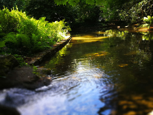 Place of Worship «The Grotto», reviews and photos, 8840 NE Skidmore St, Portland, OR 97220, USA