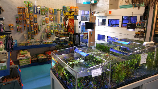 Tropical Fish Store «Stingray Bay», reviews and photos, 17800 E 9 Mile Rd, Eastpointe, MI 48021, USA