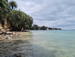 Foto van Shelly Reserve Beach en de nederzetting