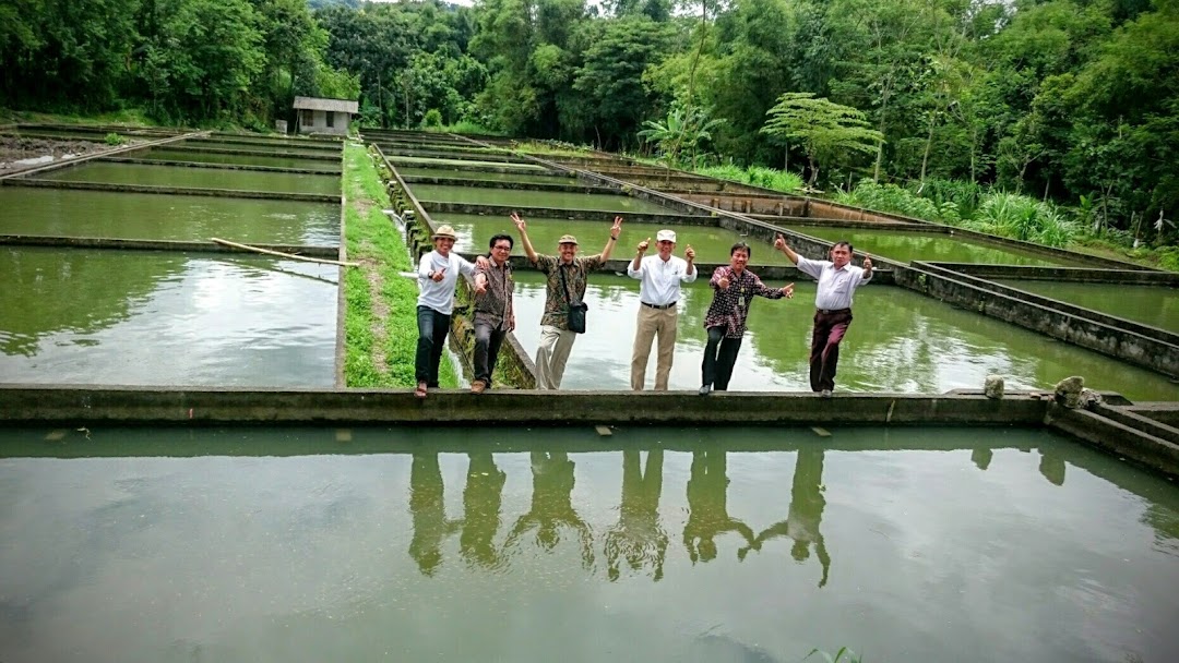 Jurang ORGANIK Sitimulyo