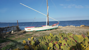 Photo n°9 de Cabane d'observation des oiseaux de l'étang à Saint-Hippolyte ()