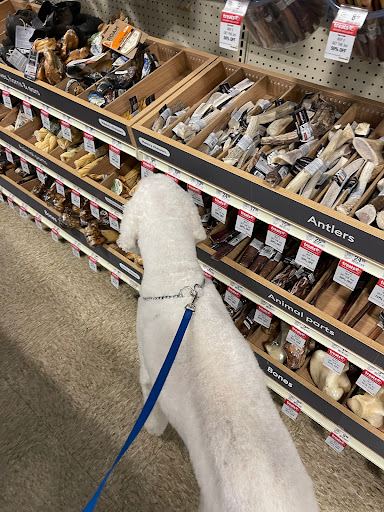 Pet Supply Store «PetSmart», reviews and photos, 13241 Gateway Center Dr, Gainesville, VA 20155, USA