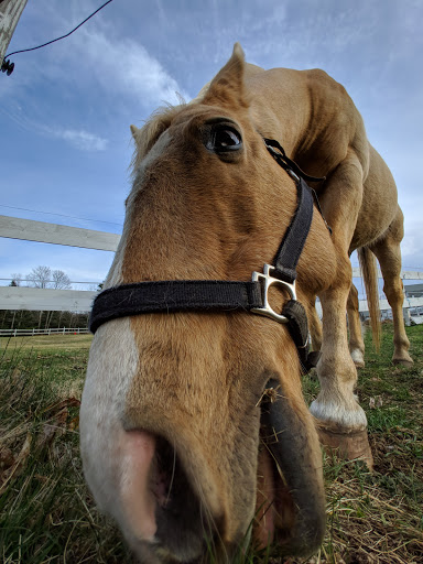 Park «Ellsworth McAfee Park», reviews and photos, 363 South St, Northborough, MA 01532, USA