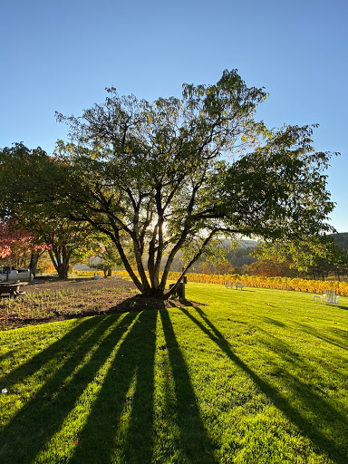 Winery «David Hill Vineyards & Winery», reviews and photos, 46350 NW David Hill Rd, Forest Grove, OR 97116, USA
