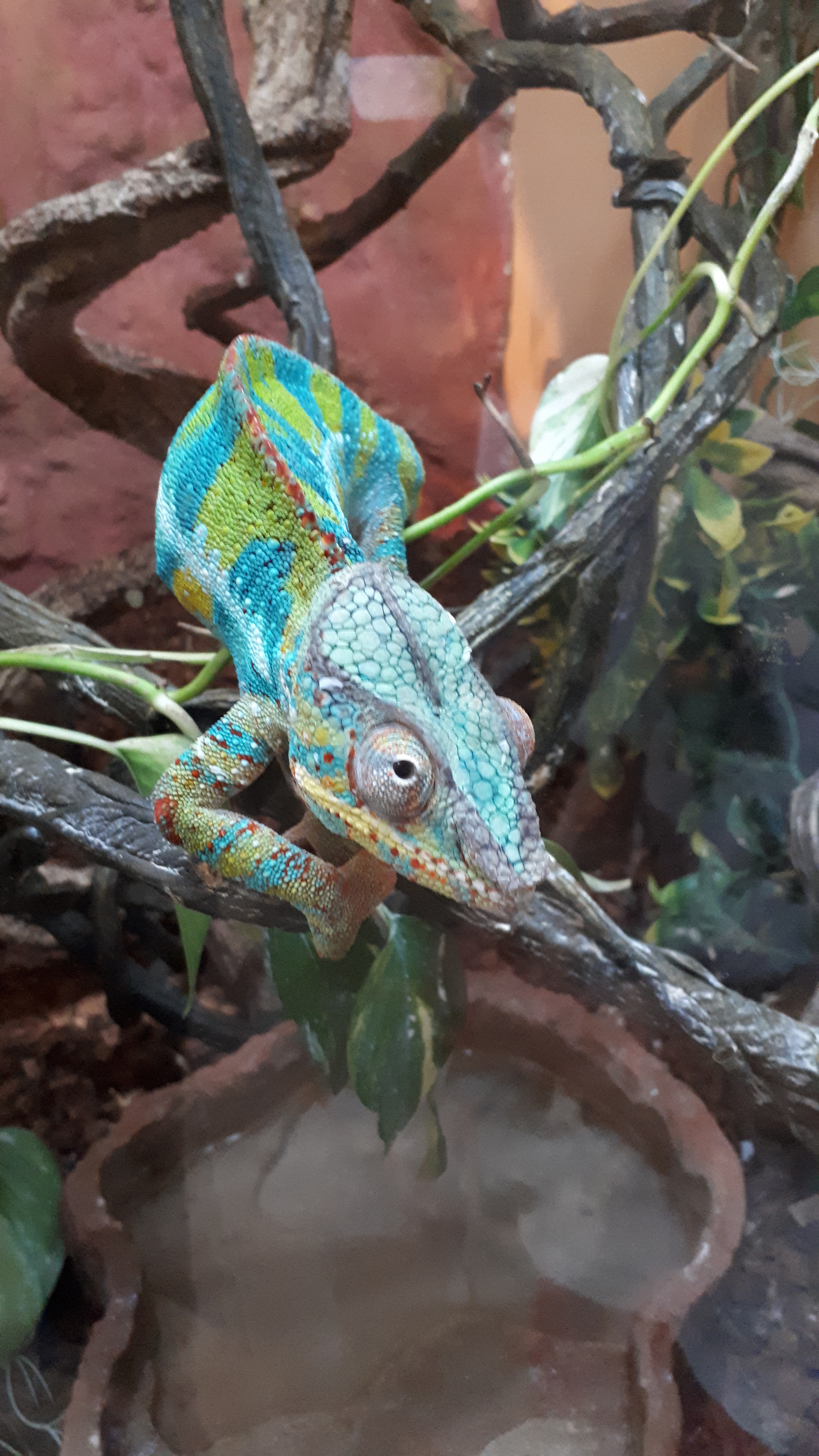 Photo n° 1 de l'avis de Sophie.P fait le 04/08/2019 à 12:50