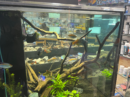 Tropical Fish Store «Glass Aquatics», reviews and photos, 542 W Harwood Rd, Hurst, TX 76054, USA