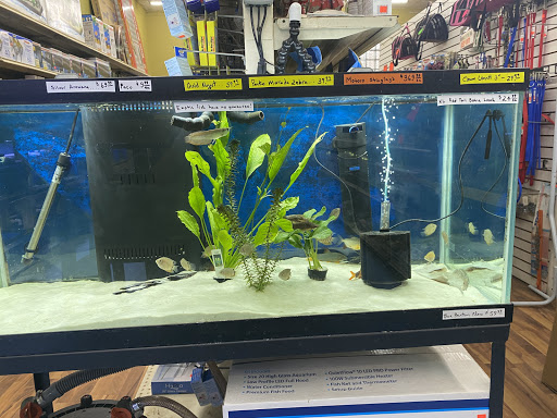 Pet Store «Jules Pet Shop», reviews and photos, 2214 N Milwaukee Ave, Chicago, IL 60647, USA