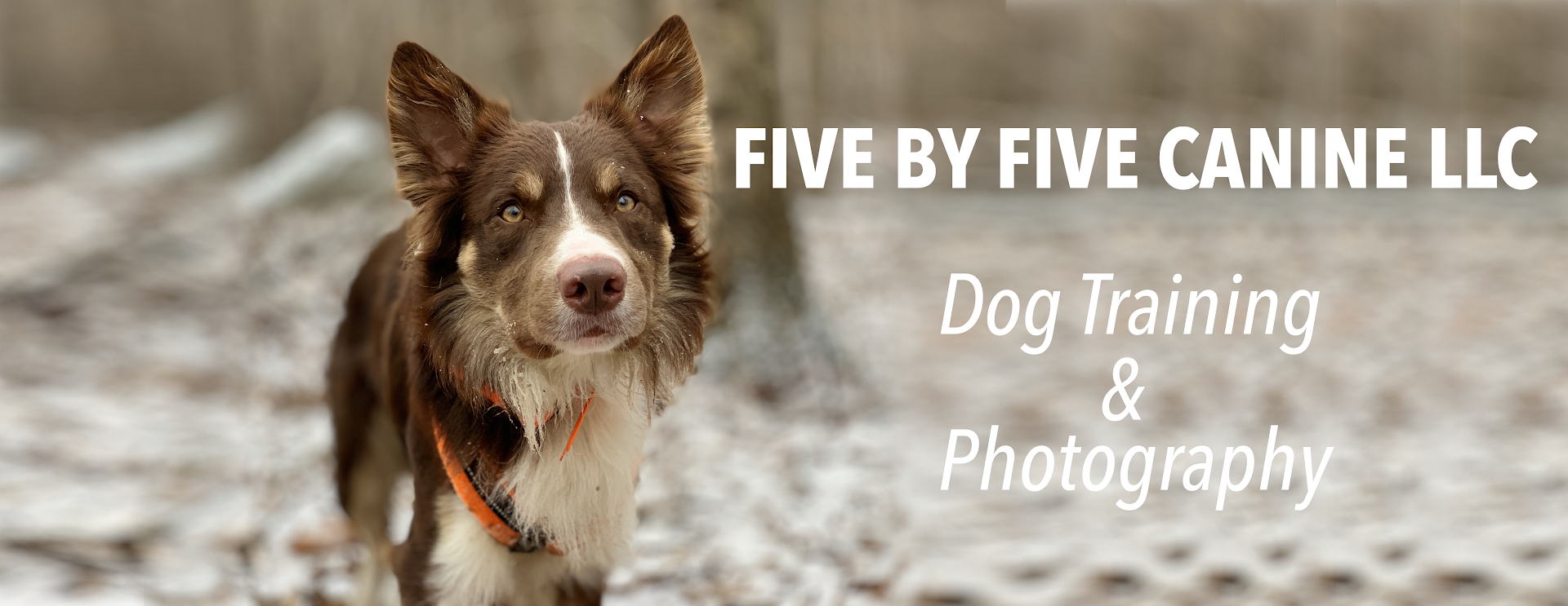 Five By Five Canine LLC