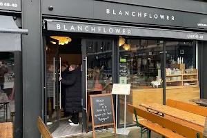 Blanchflower image
