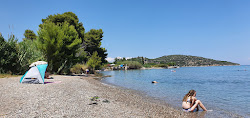 Yialasi beach II'in fotoğrafı imkanlar alanı