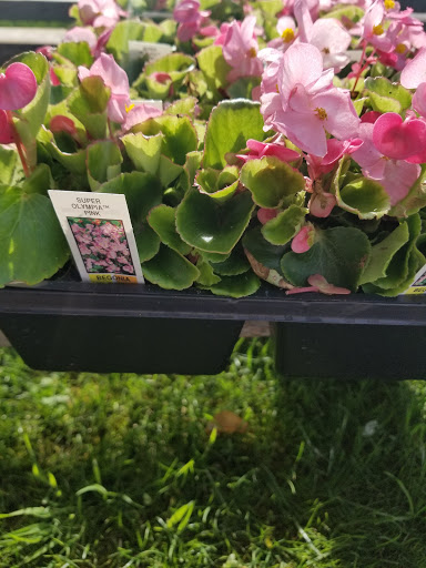 Florist «Lyndhurst Florist», reviews and photos, 5268 Mayfield Rd, Lyndhurst, OH 44124, USA