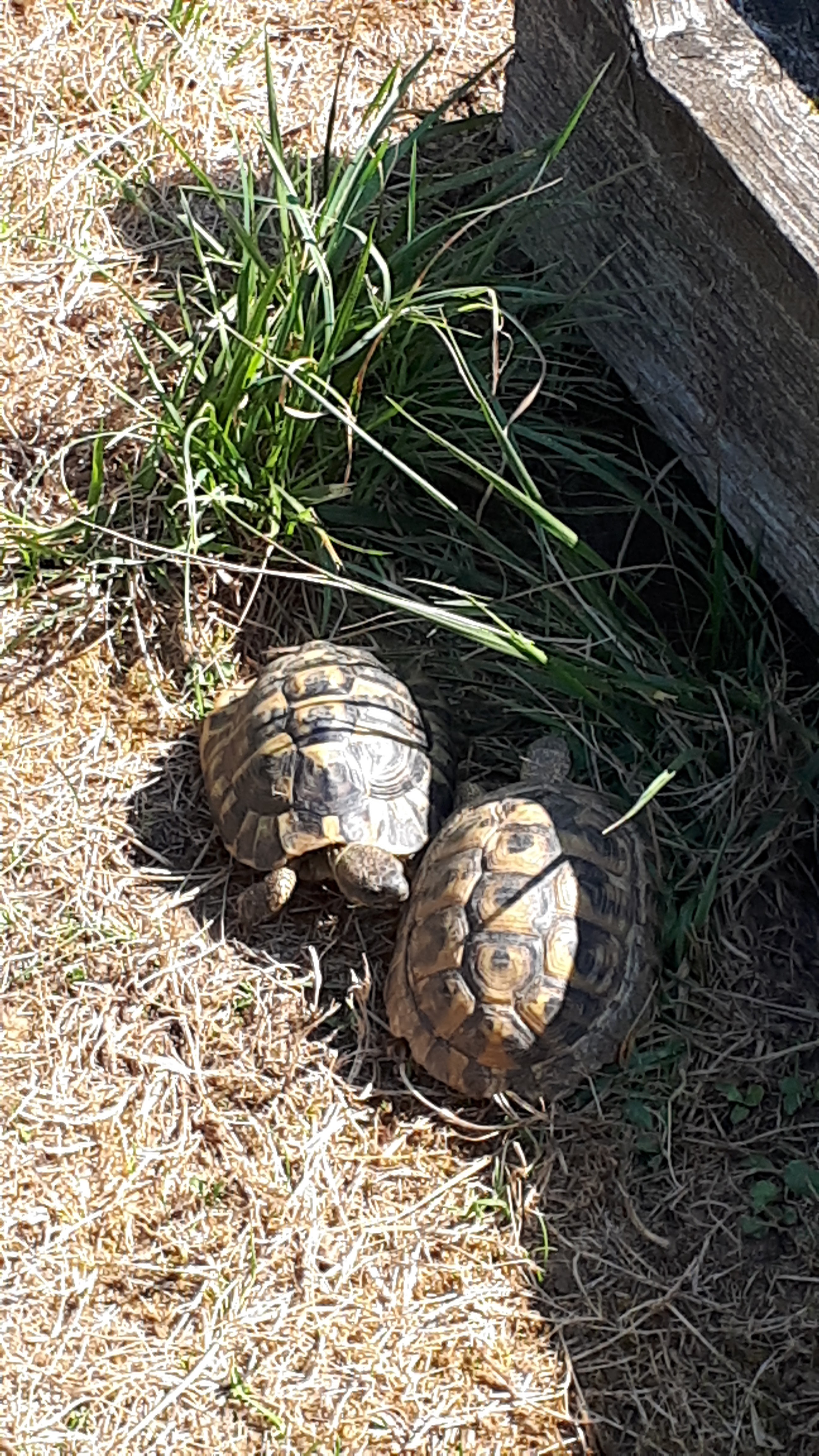 Photo n° 4 de l'avis de Sophie.P fait le 04/08/2019 à 12:50