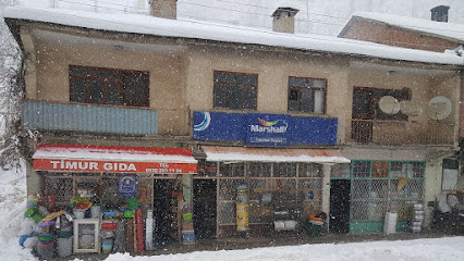 Timurlar Yapı İnşaat