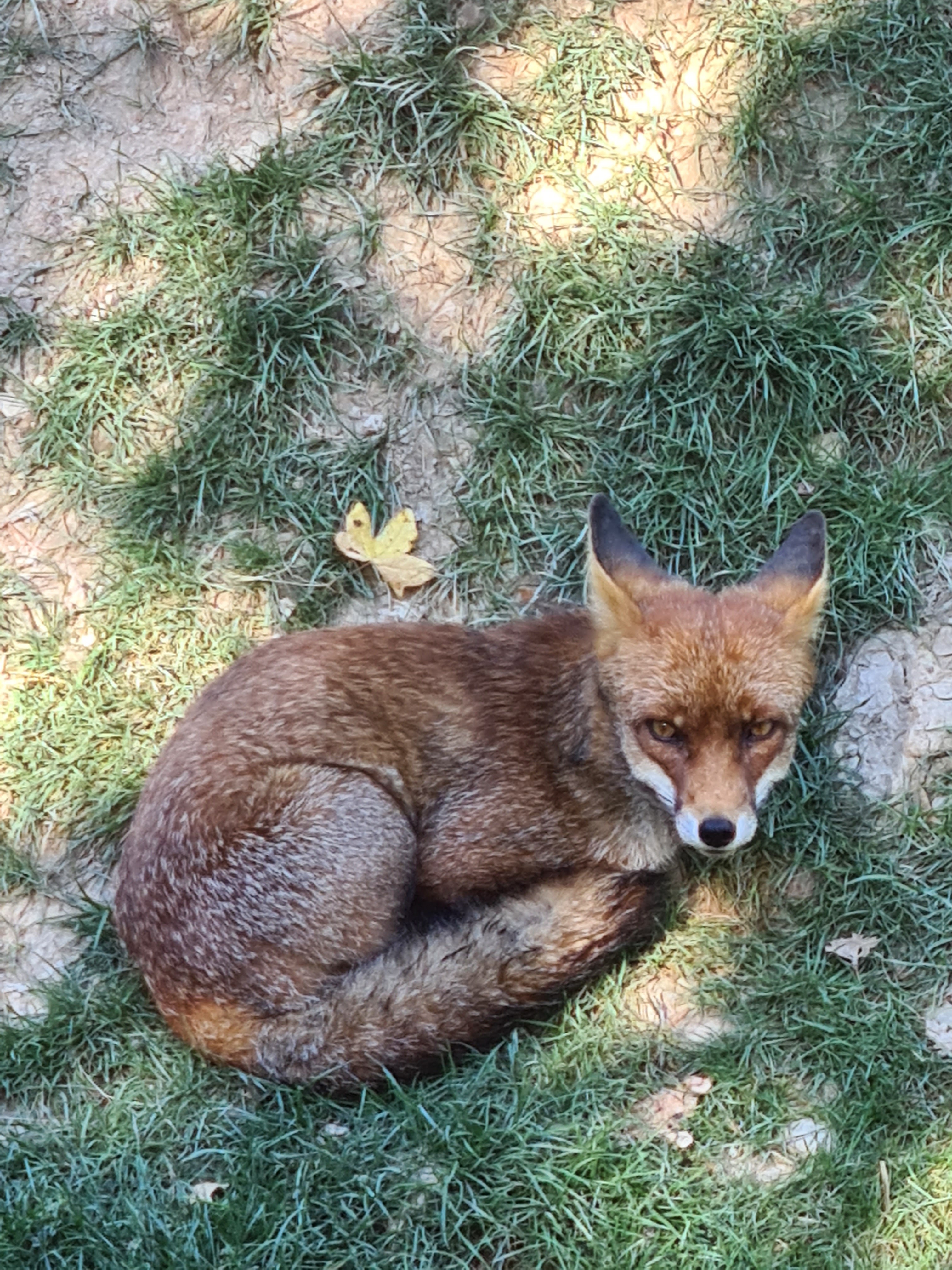 Photo n° 3 de l'avis de Jessica.b fait le 26/08/2020 à 17:11