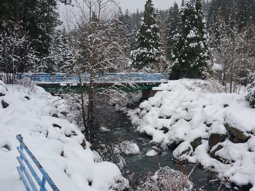 Cabin Rental Agency «Canyon Ranch Resort LLC», reviews and photos, 622 Old Truckee Rd, Sierraville, CA 96126, USA