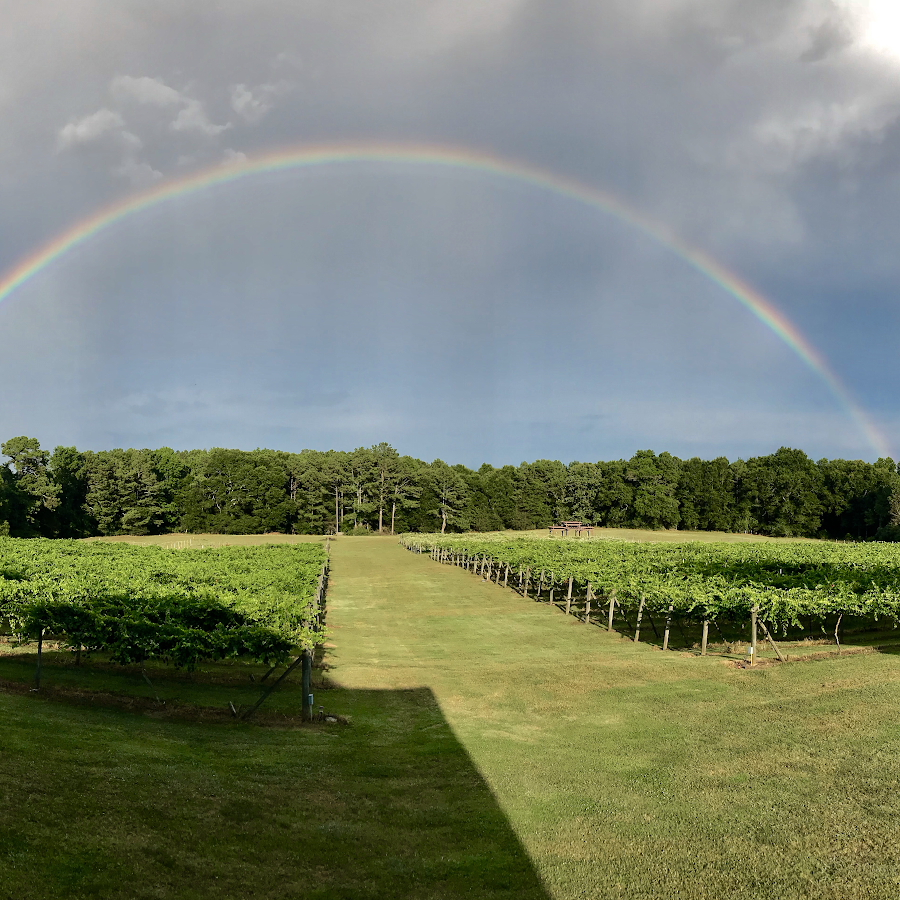 Enoree River Vineyards and Winery