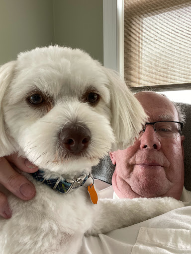 Geneseo Veterinary Service image