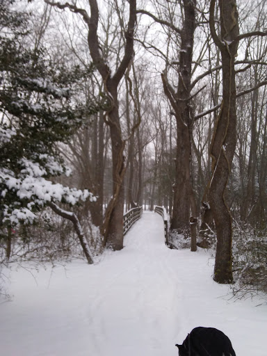 Golf Club «Cape May National Golf Club», reviews and photos, 834 Florence Avenue, Cape May, NJ 08204, USA