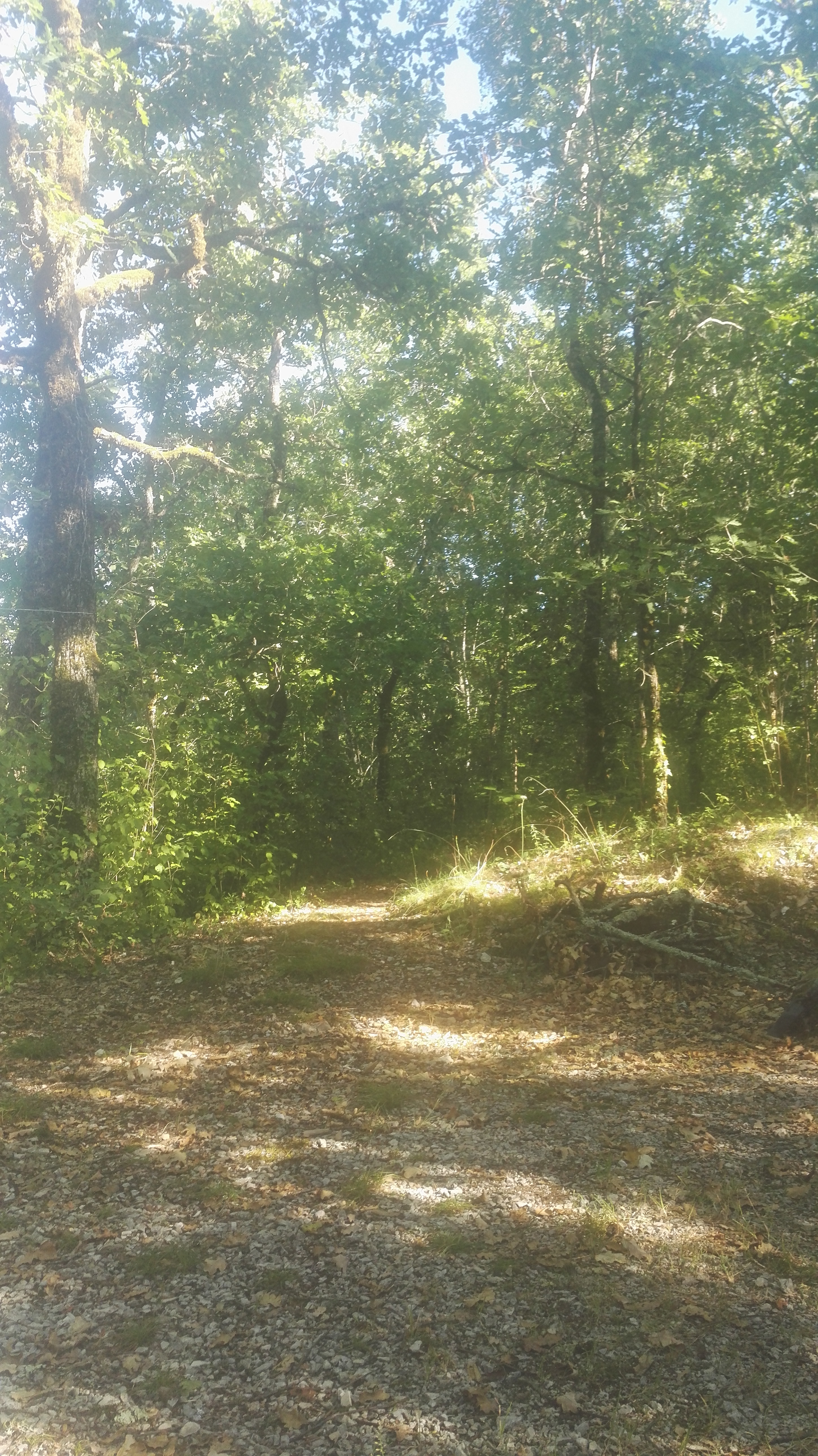 Photo n° 8 de l'avis de Elie.d fait le 15/07/2019 à 19:32