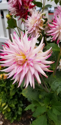 Canoe & Kayak Store «Olympic Outdoor Center», reviews and photos, 32379 N Rainier Ave, Port Gamble, WA 98364, USA