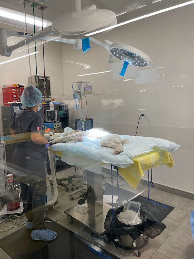 Veterinary Emergency Group image