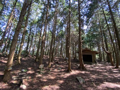 譲葉山城跡