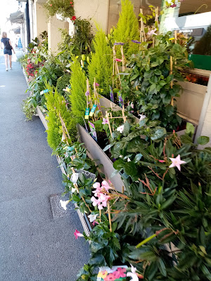 Le Jardin des Fleurs à Pessac