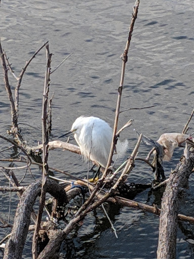 Park «Cocoa Riverfront Park», reviews and photos, 401 Riveredge Blvd, Cocoa, FL 32922, USA