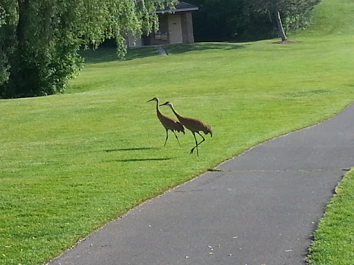 Golf Course «Springfield Oaks Golf Course», reviews and photos, 12450 Andersonville Rd, Davisburg, MI 48350, USA