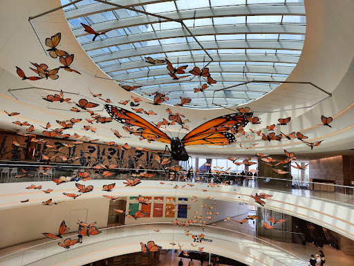 Shopping Mall «Mall of America», reviews and photos, 60 E Broadway, Bloomington, MN 55425, USA