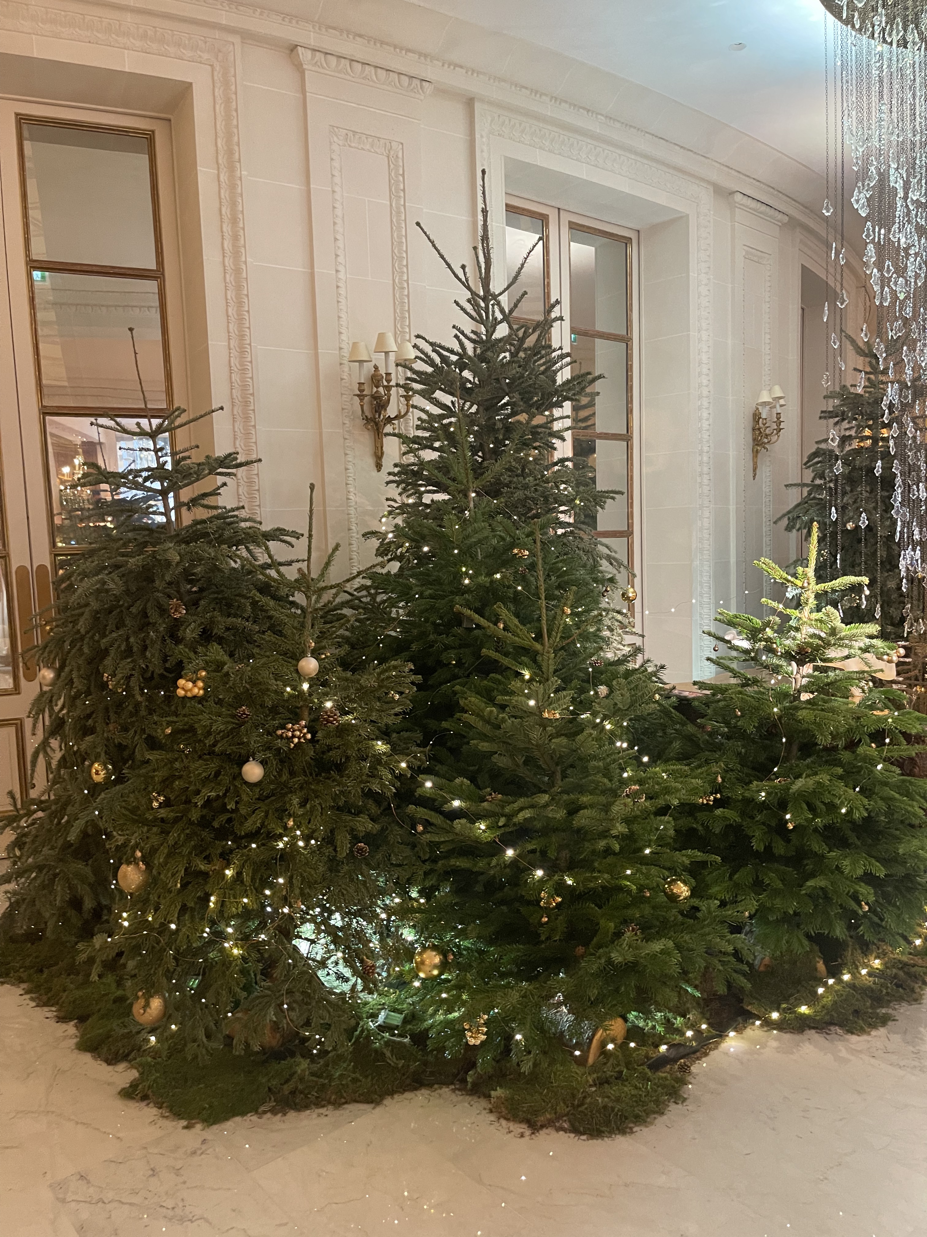 Photo n° 3 de l'avis de Berkan.r fait le 29/12/2022 à 23:57