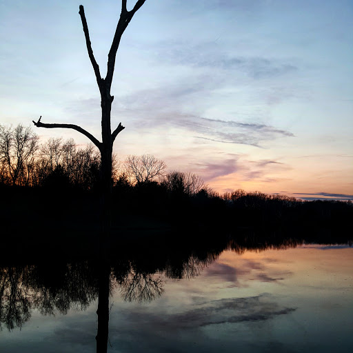 Public Golf Course «Longview Golf Course», reviews and photos, 3243 Frankfort Pike, Georgetown, KY 40324, USA