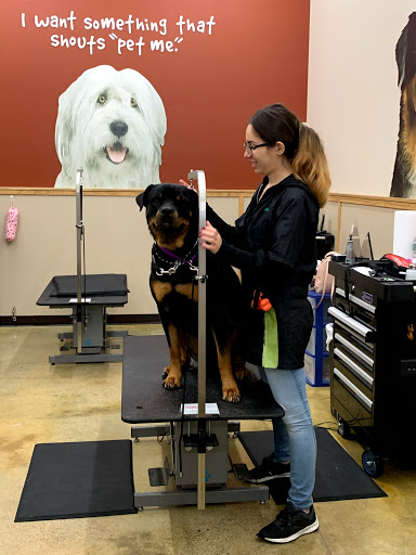 Pet Supply Store «Pet Supplies Plus», reviews and photos, 375 Paterson Ave #105, Wallington, NJ 07057, USA