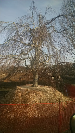 Golf Club «Maidstone Club», reviews and photos, 29 Maidstone Ln, East Hampton, NY 11937, USA