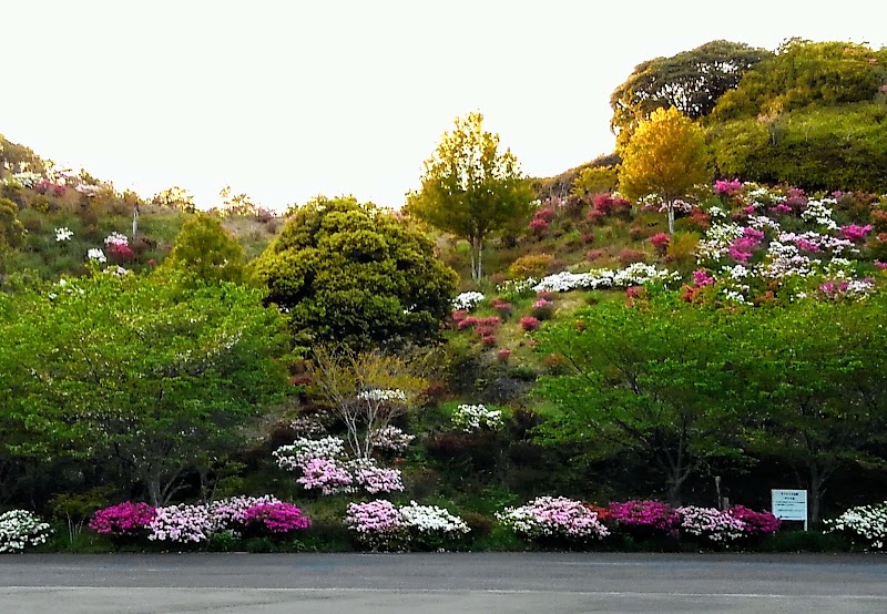 土佐清水総合公園