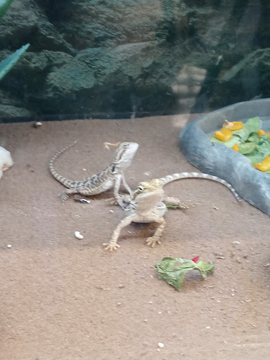 Pet Supply Store «Petco Animal Supplies», reviews and photos, 5631 Grove Blvd, Hoover, AL 35226, USA