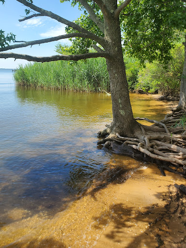 Park «Miami Beach Park», reviews and photos, 4001 Bay Dr, Middle River, MD 21220, USA