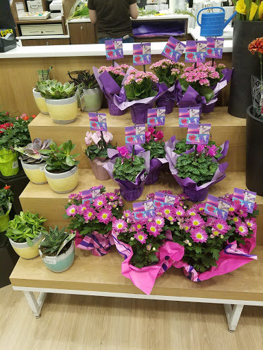 Shopping Mall «Wilton Mall», reviews and photos, 3065 NY-50, Saratoga Springs, NY 12866, USA