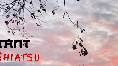 Octant Shiatsu - Benoit Maunet à Izon