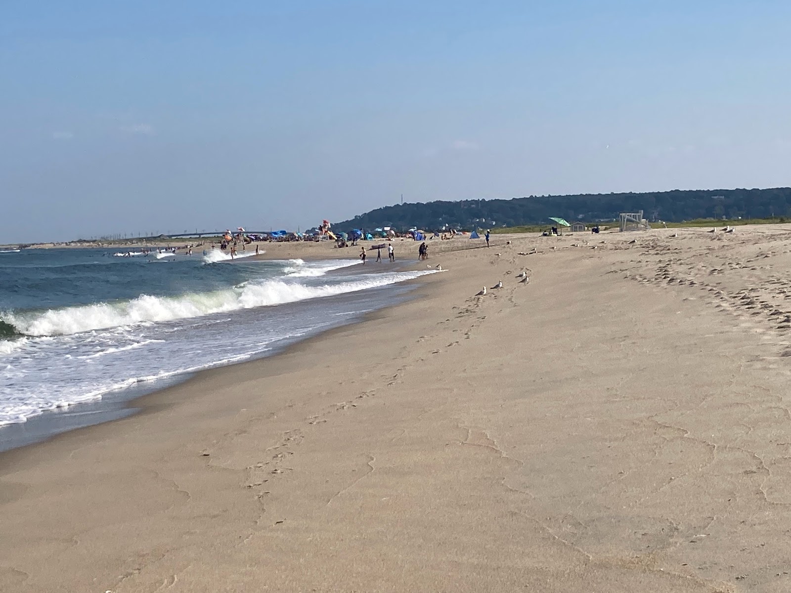 Foto von Sandy hook beach wilde gegend