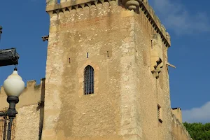 Castell de Ferran image