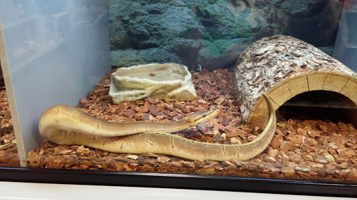 Pet Groomer «We Lov Pets», reviews and photos, 3853 Northpointe Dr, Zanesville, OH 43701, USA