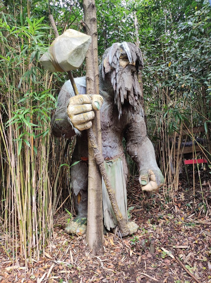 Izenaduba Basoa / Olentzeroren Etxea