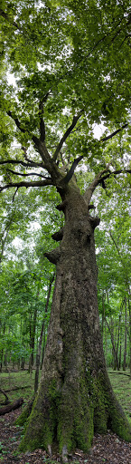 State Park «Long Hunter State Park», reviews and photos, 2910 Hobson Pike, Hermitage, TN 37076, USA