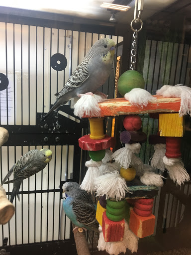 Pet Supply Store «PetSmart», reviews and photos, 1921 Gulf Fwy S, Dickinson, TX 77539, USA