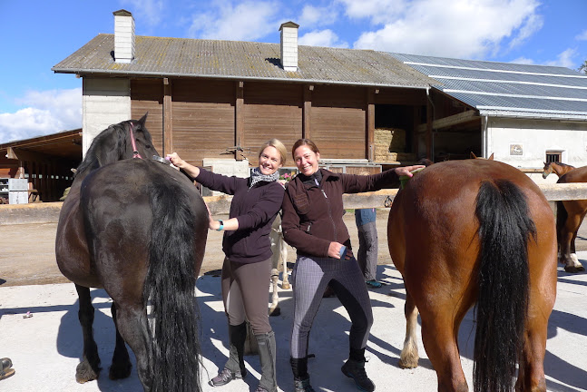 Reiten & Yoga - Yoga-Studio