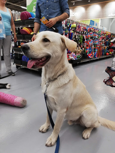 Petco Puerta la Victoria